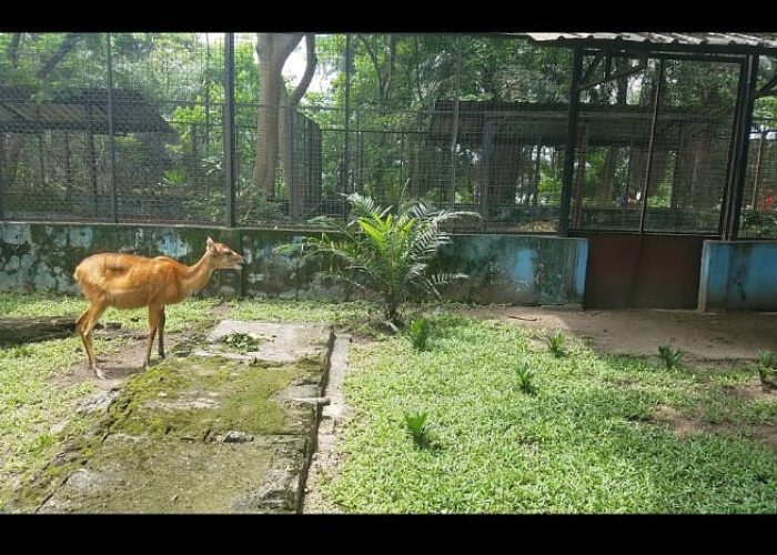 Port Harcourt Zoo